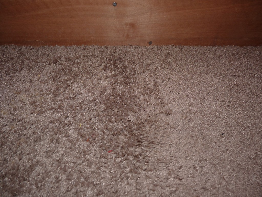 How to Get Wax Out of Carpet