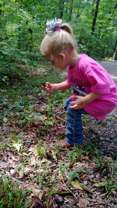 nature trail activity