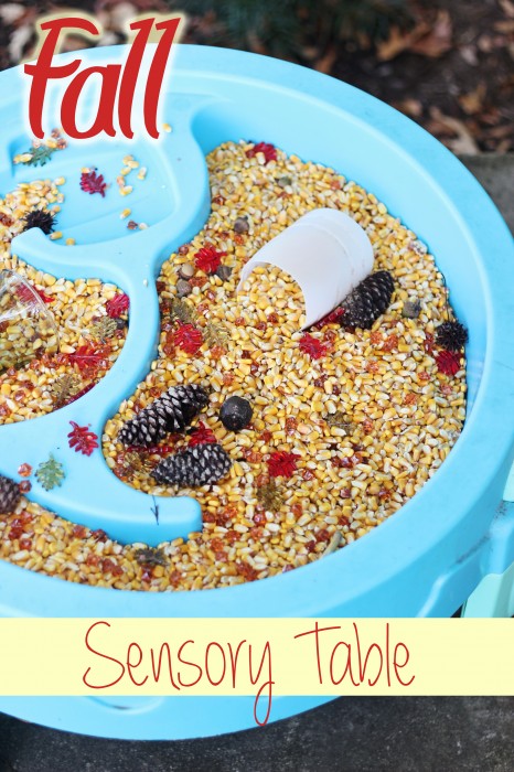 Fall Sensory Table | Sweet T Makes Three