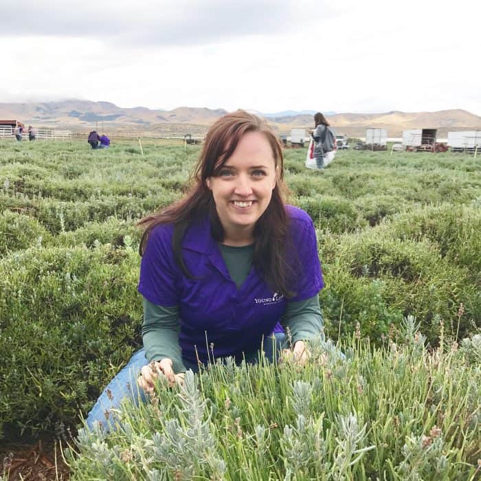 young living essential oils lavender farm mona utah