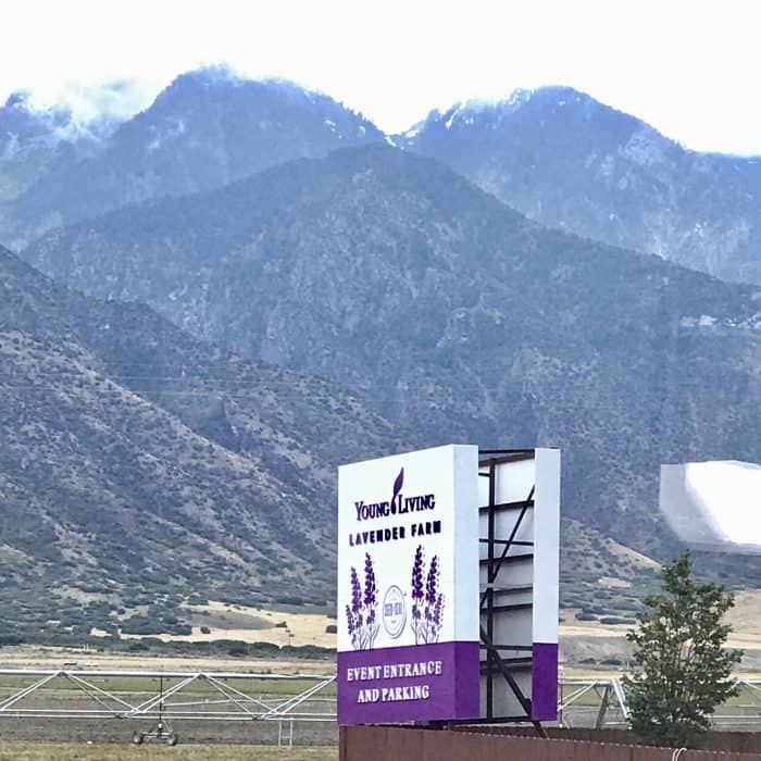 young living essential oils lavender farm mona utah