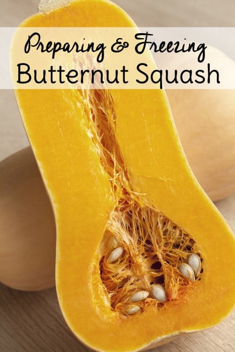 There are many ways to prepare butternut squash. Learn how to preserve butternut squash so you can make different butternut squash recipes year round!