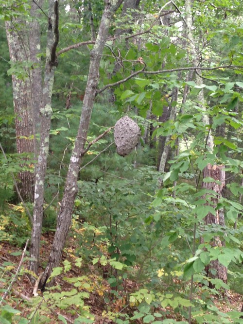 kennebunkport maine hiking trails geocaching