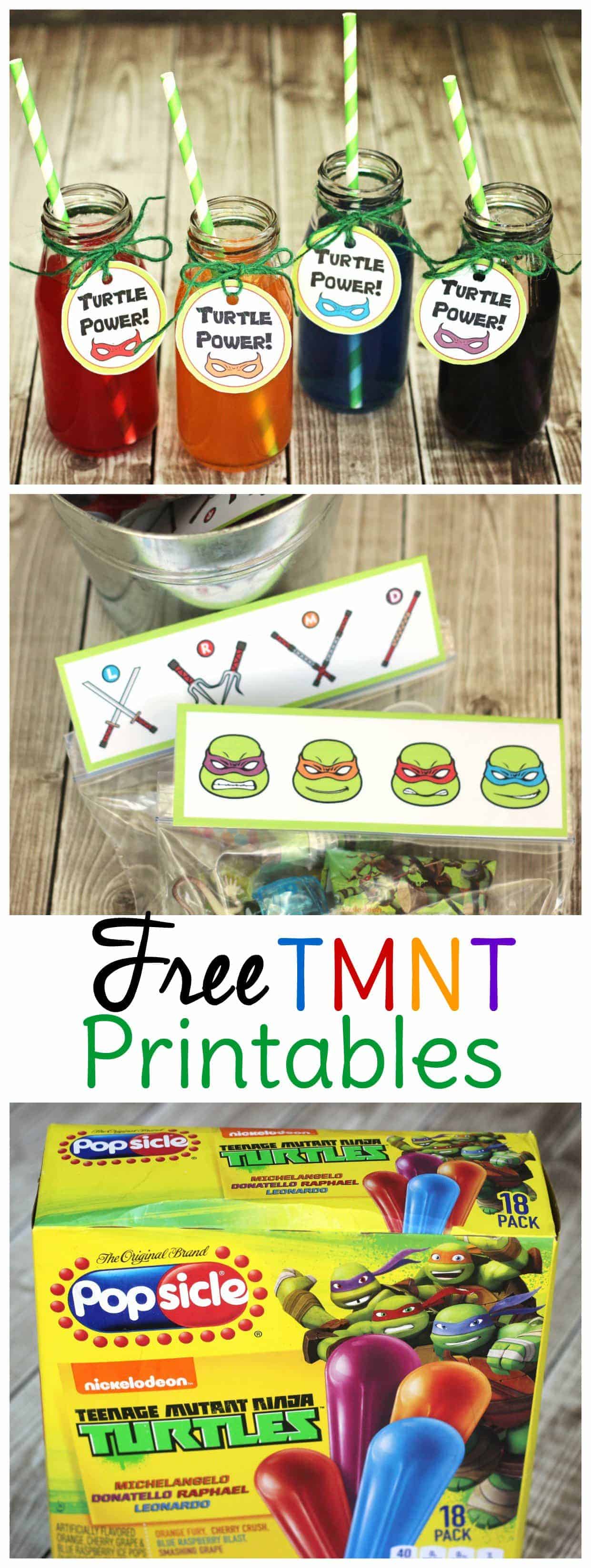 Throw a Ninja Turtles Birthday Party!