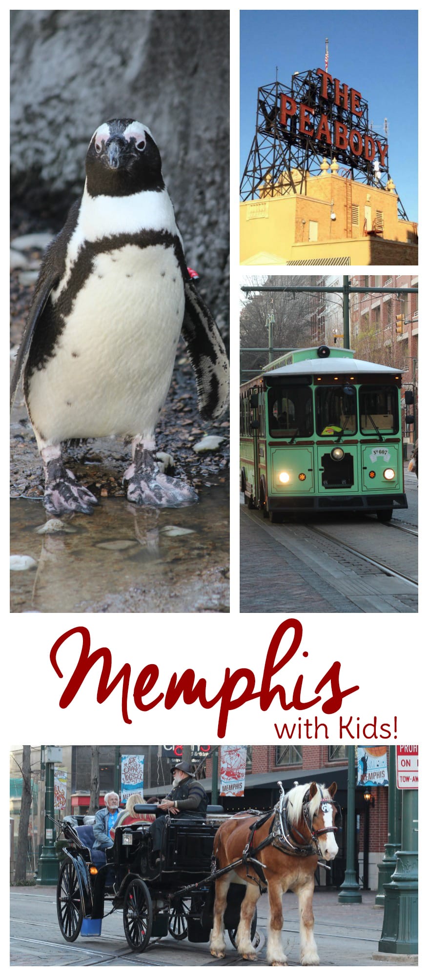 fun things to do in memphis