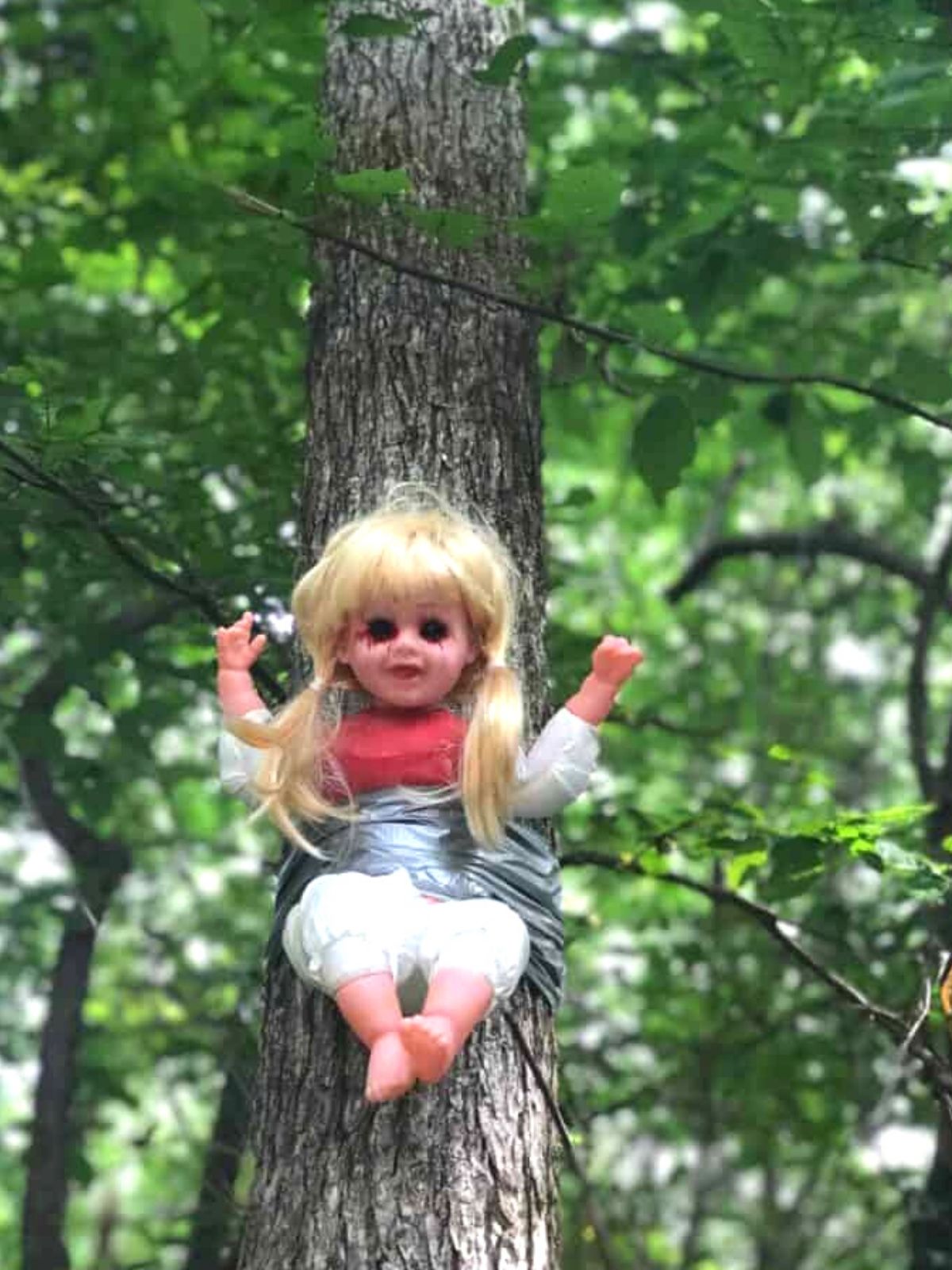 a plastic baby doll with long blonde hair is strapped to a tree near cry baby bridge. It's eyes have been blackened out.