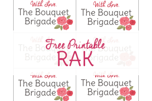 Use this random acts of kindness printable to attach to bouquets. You can find flowers for dirt cheap the day after Valentine's Day, Mother's Day, etc and make a lot of people smile!