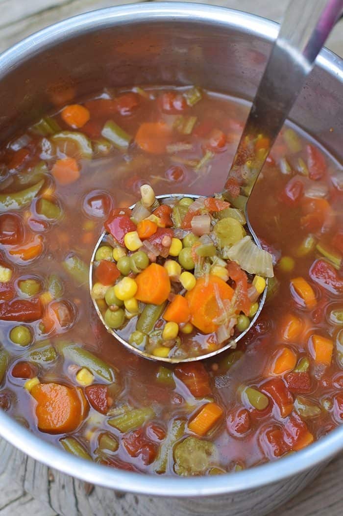 instant pot vegetable soup recipe