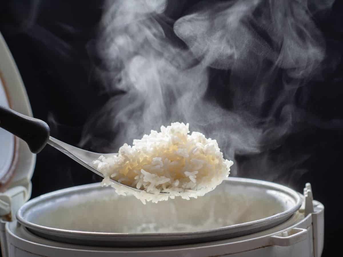 https://sweettmakesthree.com/wp-content/uploads/2018/11/sticky-rice-pot.jpg