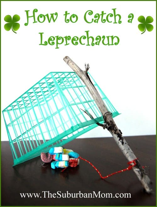 leprechaun trap ideas