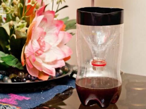 Make a DIY Fly Trap with Household Items! Cheap, easy, and effective