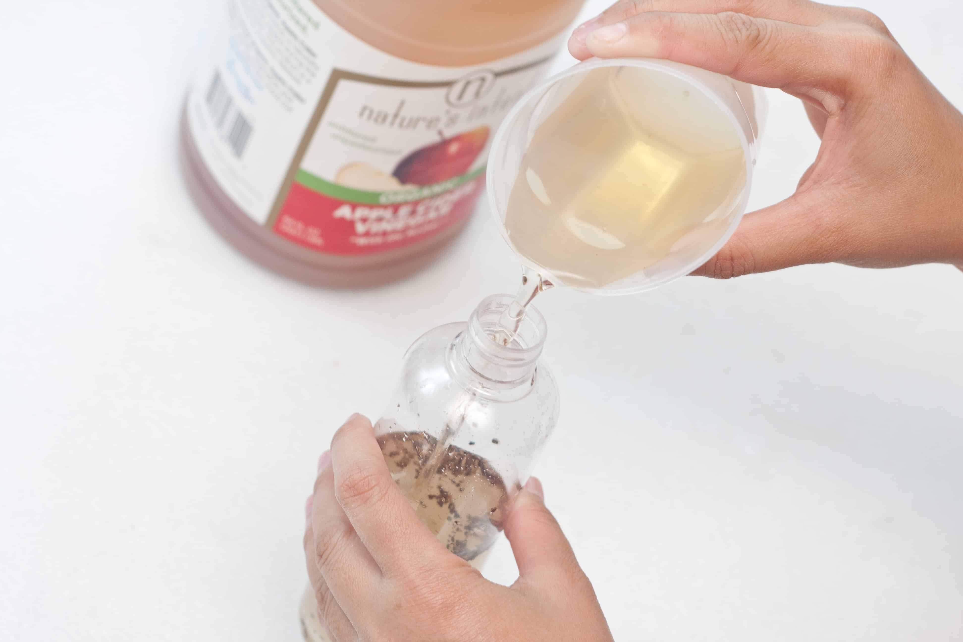 DIY Natural Ant Killer Pet safe indoor homemade ant killer