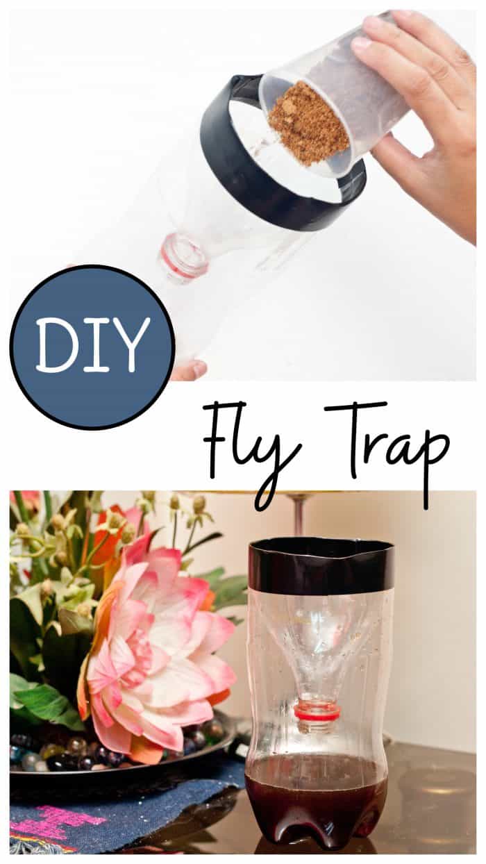 Make A DIY Fly Trap With Household Items Cheap Easy And Effective   Diy Fly Trap 700x1244 