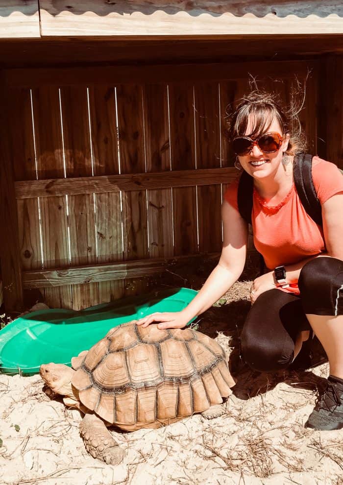 woman petting a tortoise 