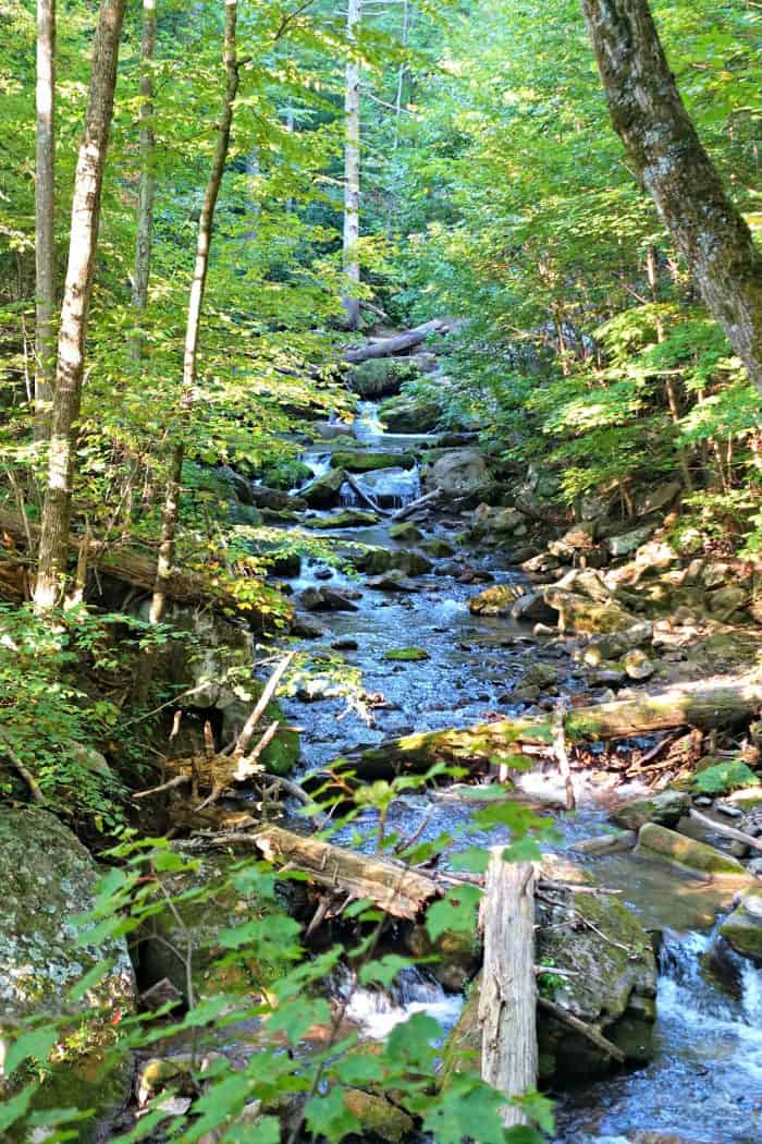 Roaring Run in Virginia's Blue Ridge