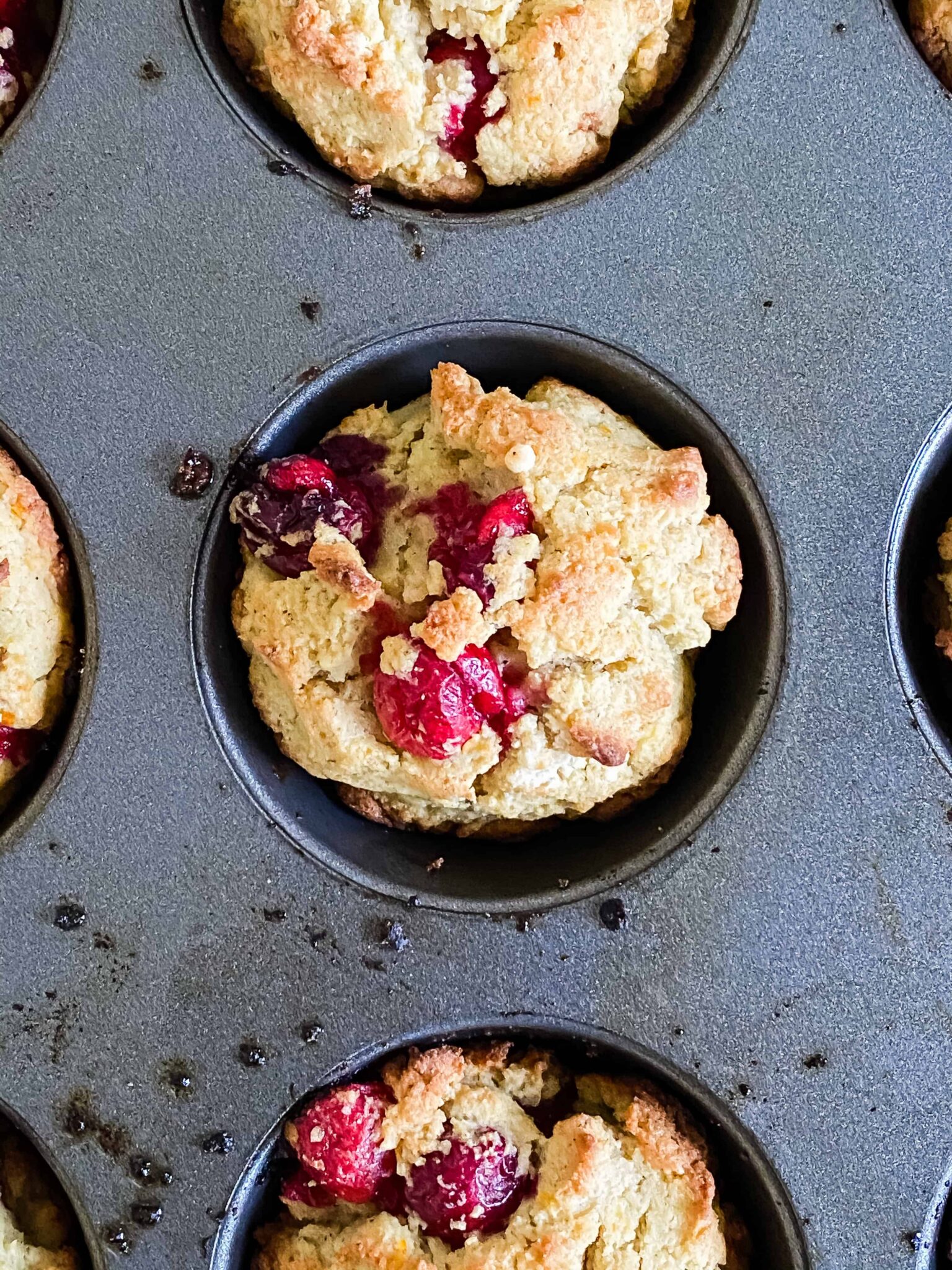 Cranberry Orange Muffins with Ricotta with Gluten Free Option