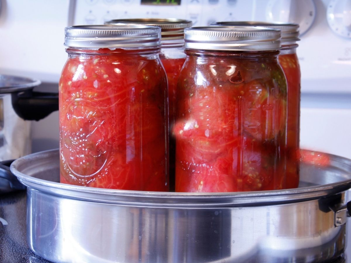 Four mason jars full of garden tomatoes sitting in a water bath.