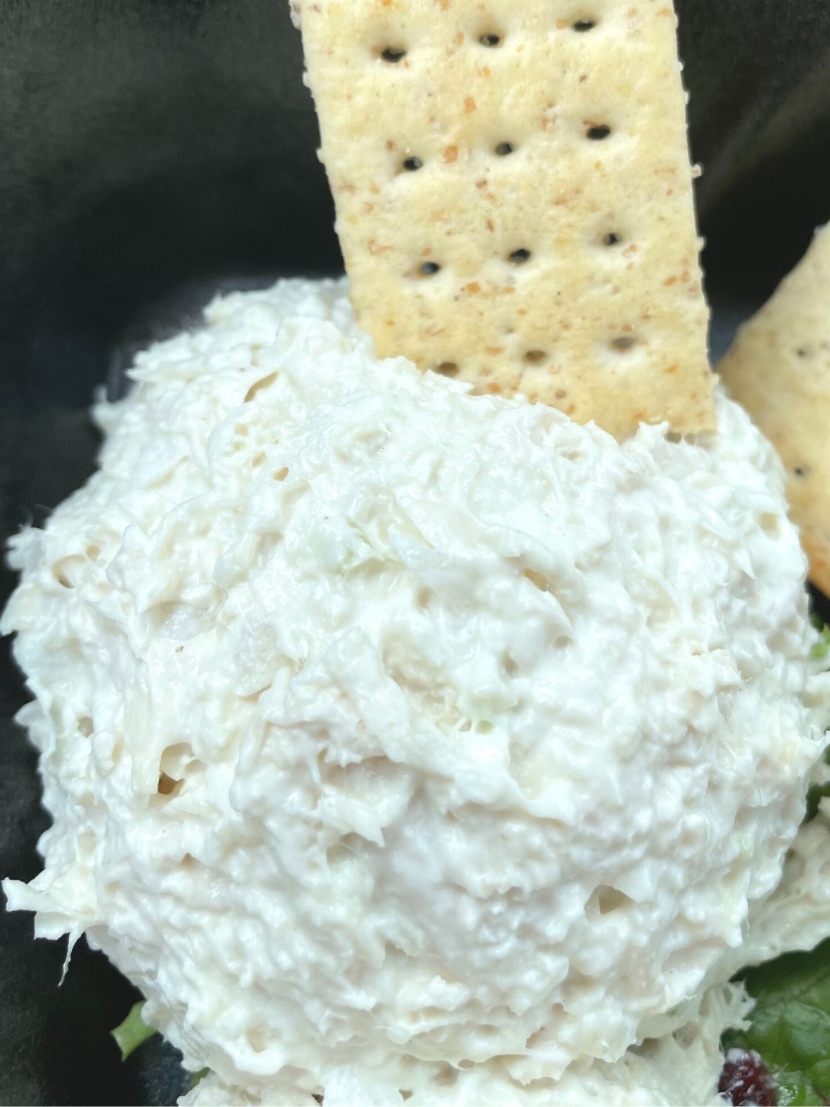 A scoop of Dixie Chick chicken salad chick flavor chicken salad with a whole wheat cracker stuck in it. 