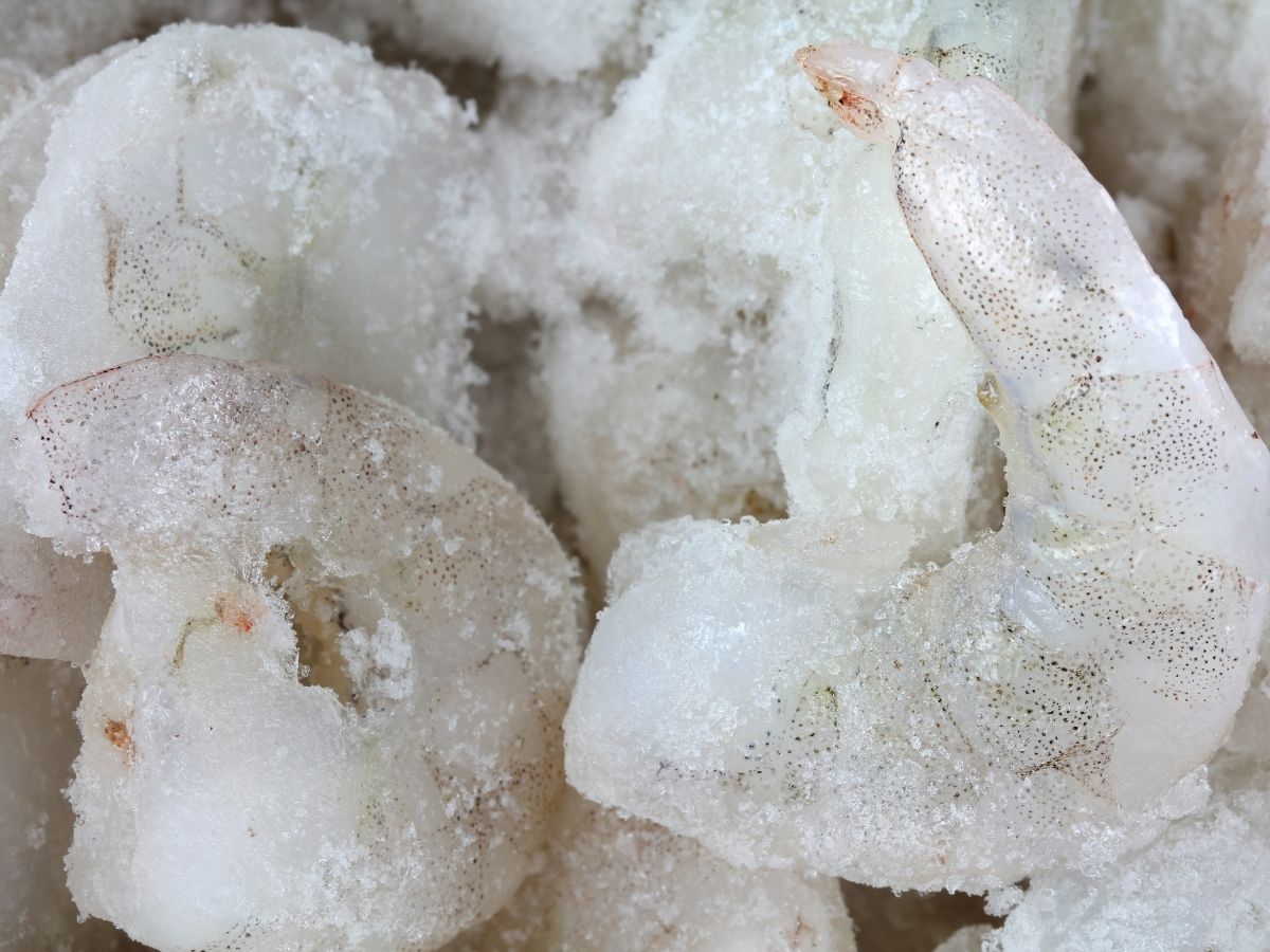 a close up photo of frozen shrimp