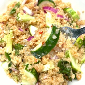 a bowl of cucumber salad with a forkful focused in the foreground.