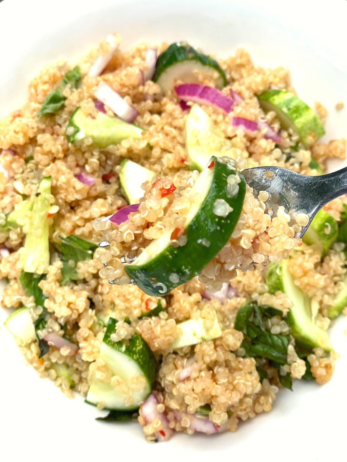 a bowl of cucumber salad with a forkful focused in the foreground.