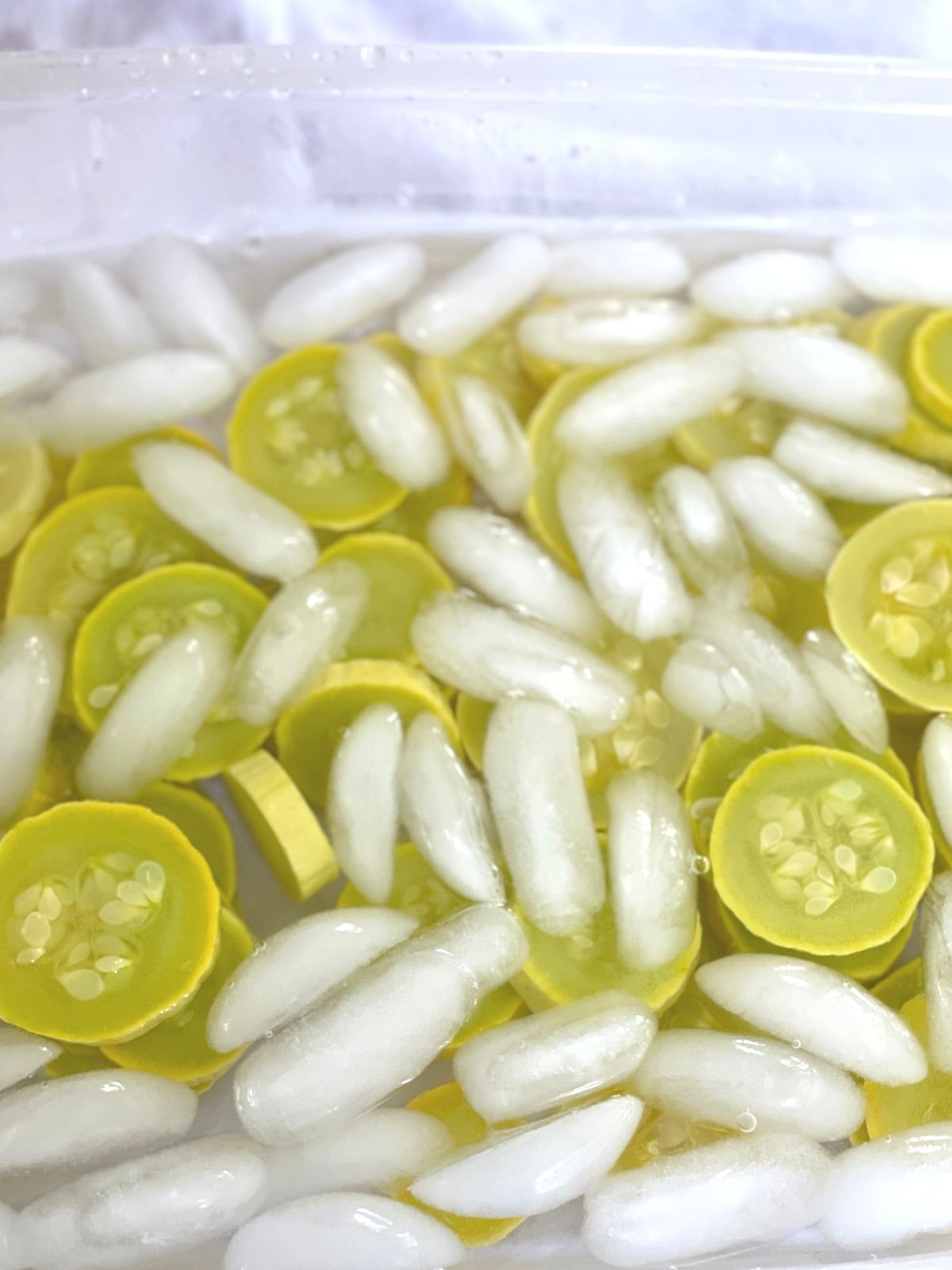 Blanched squash slices placed in an ice bath to cool. 