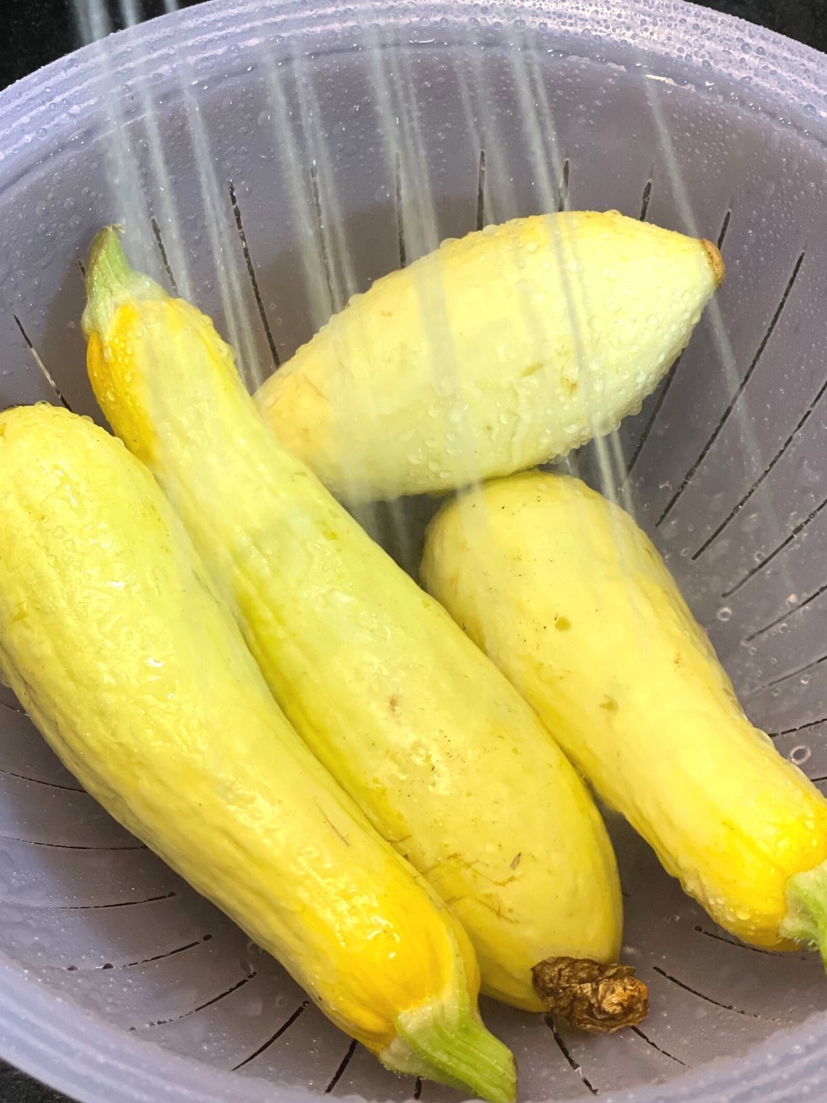 Yellow summer squash in a purple colander being rinsed off in the sink.