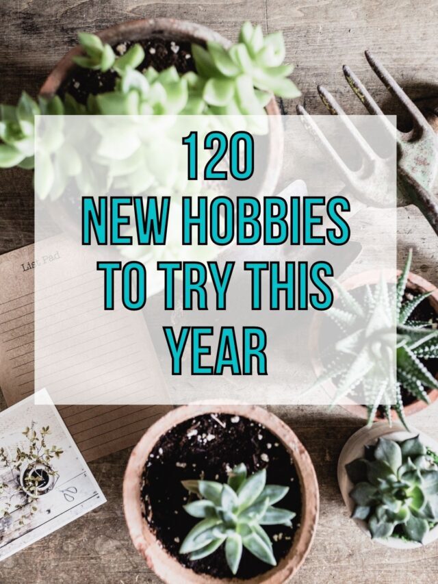 120  Hobby Ideas for the New Year