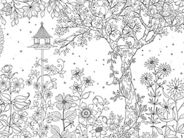 serenity garden coloring page