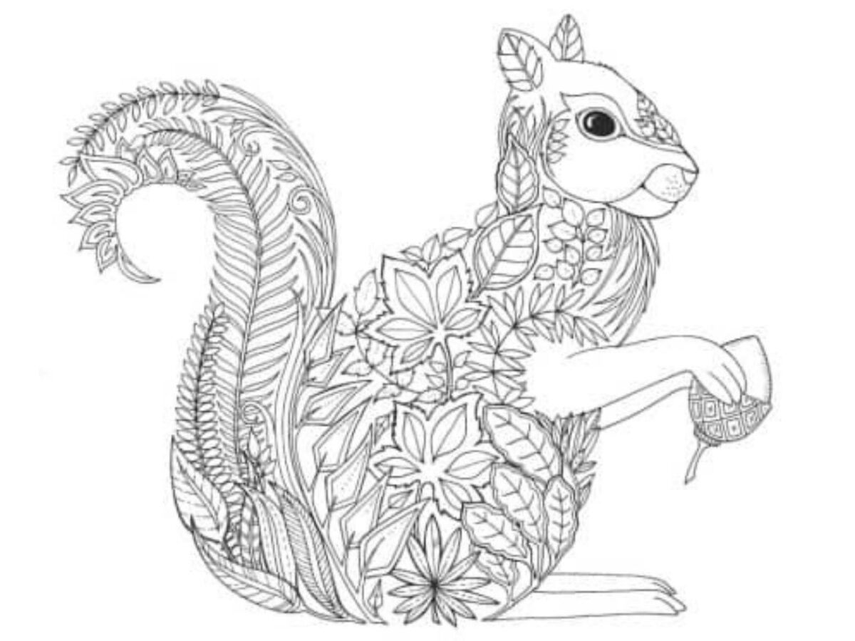 A forest squirrel coloring page for adults.